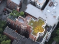 Lincoln-Park---Green-Roof-&-Rooftop-Patio-Deck-Construction4